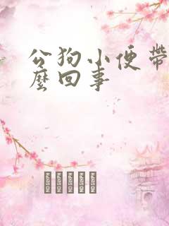 公狗小便带血怎么回事