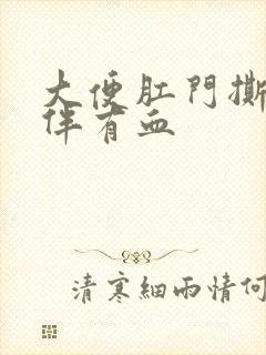 大便肛门撕裂感伴有血