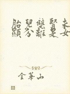 胎儿双肾未见明显分离是女孩吗