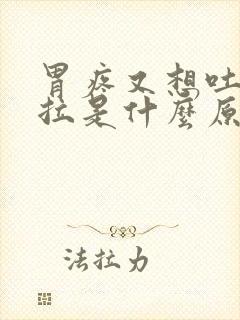 胃疼又想吐又想拉是什么原因