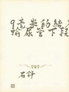 9毫米的结石在输尿管下段