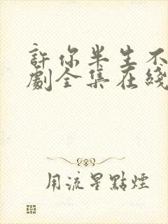 许你半生不见短剧全集在线观看