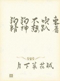 狗狗不吃东西没精神想趴着吃什么药