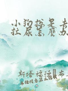 小狗总是去床上拉尿怎么办