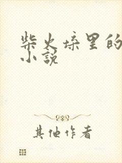 柴火垛里的疯狂小说