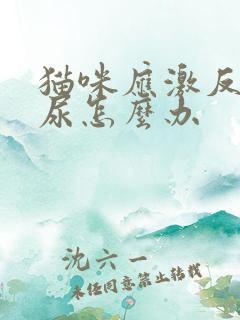 猫咪应激反应闭尿怎么办