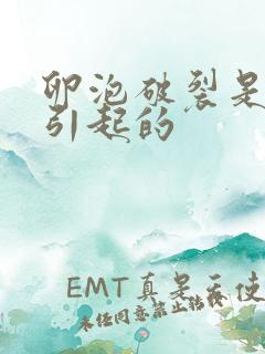 卵泡破裂是什么引起的