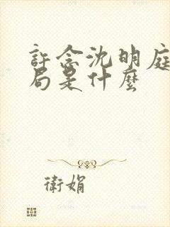 许念沈明庭大结局是什么