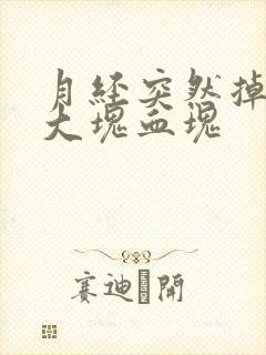 月经突然掉了一大块血块