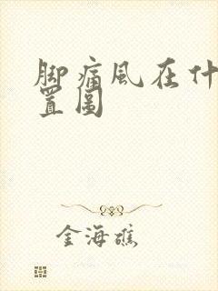 脚痛风在什么位置图