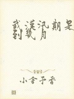 武汉汛期是几月到几月