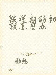 叛逆期的初中生该怎么办