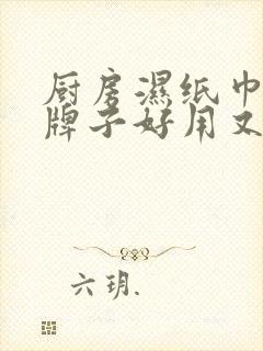 厨房湿纸巾哪个牌子好用又实惠