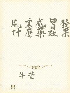 风寒感冒发烧吃什么药效果好