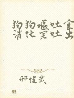 狗狗呕吐食物没消化完吐出来怎么办