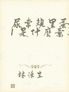 尿常规里蛋白质1 是什么意思