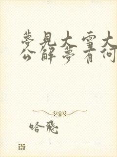 梦见大雪大风周公解梦有何寓意