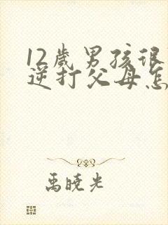 12岁男孩很叛逆打父母怎么办