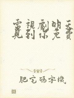 电视剧明天也想见到你免费观看