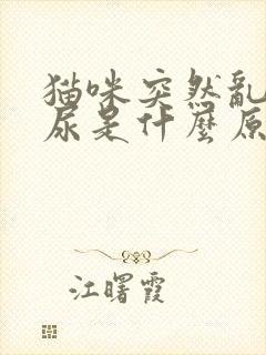 猫咪突然乱拉乱尿是什么原因