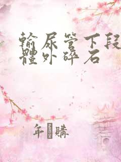 输尿管下段结石体外碎石