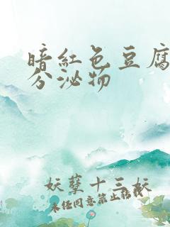 暗红色豆腐渣样分泌物