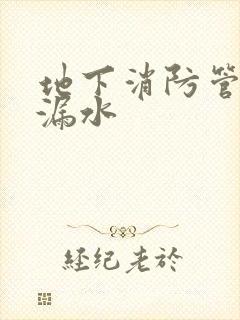 地下消防管道查漏水