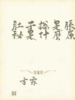 肚子总是胀气便秘是什么原因