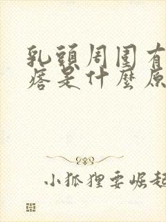 乳头周围有小疙瘩是什么原因引起的