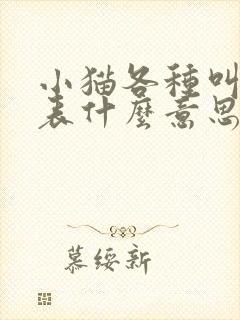 小猫各种叫声代表什么意思