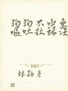 狗狗不吃东西还呕吐拉稀没精神怎么办