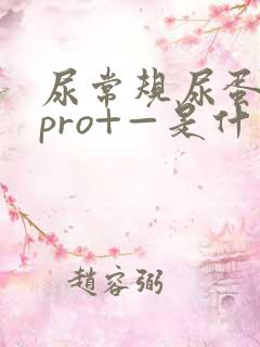 尿常规尿蛋白质pro+—是什么意思