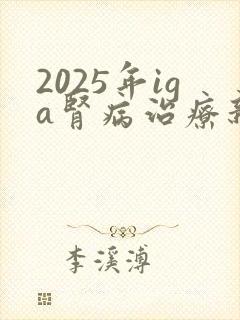 2025年iga肾病治疗新药