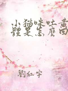 小猫咪吐黄色液体是怎么回事