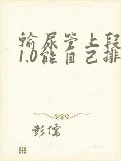 输尿管上段结石1.0能自己排出来吗