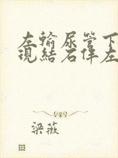 左输尿管下段出现结石伴左肾轻度积水