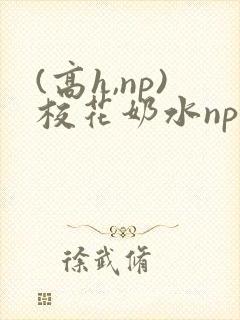 (高h,np)校花奶水np
