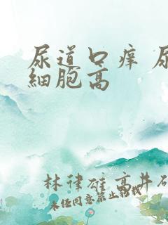 尿道口痒 尿白细胞高