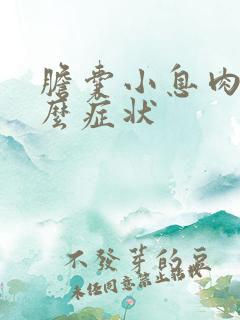 胆囊小息肉有什么症状