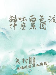 猫吐白色液体是什么原因