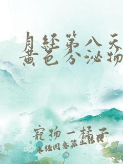 月经第八天还有黄色分泌物