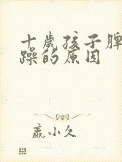 十岁孩子脾气暴躁的原因