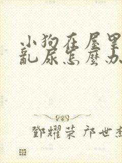 小狗在屋里乱拉乱尿怎么办