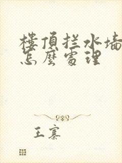 楼顶拦水墙漏水怎么处理