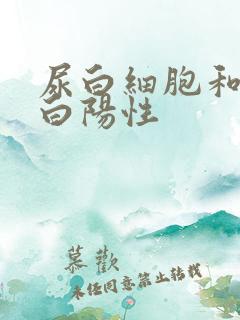 尿白细胞和尿蛋白阳性