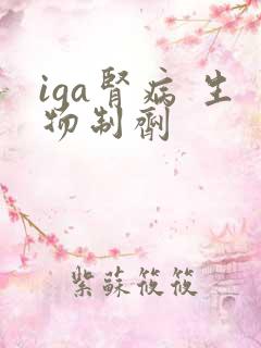 iga肾病 生物制剂