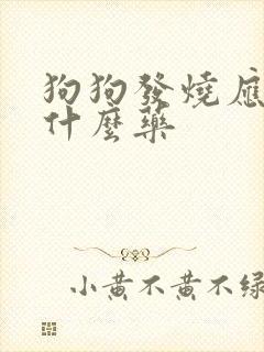 狗狗发烧应该吃什么药