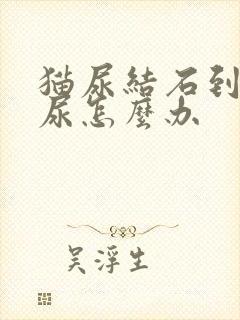 猫尿结石到处乱尿怎么办