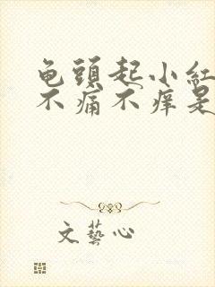 龟头起小红疙瘩不痛不痒是怎么回事