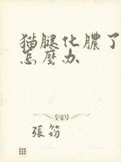 猫腿化脓了在家怎么办